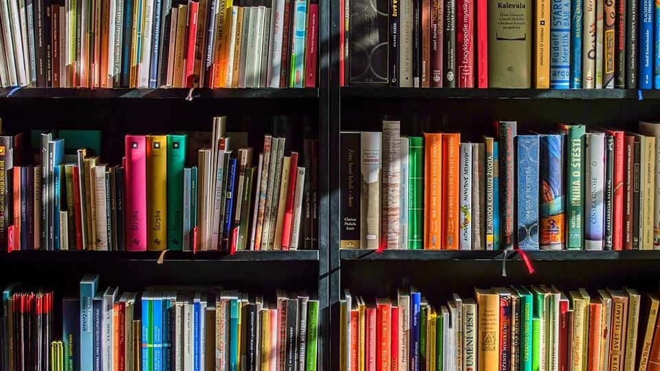 Bookshelves in the background.